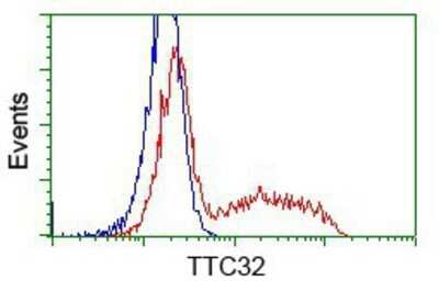 Flow Cytometry: TTC32 Antibody (OTI1F7) - Azide and BSA Free [NBP2-74656]
