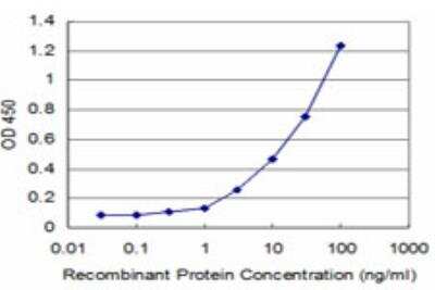 ELISA: TTF2 Antibody (2B6) [H00008458-M12]