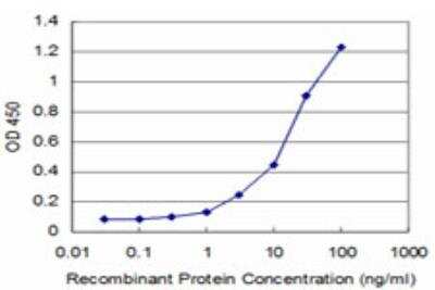 ELISA: TTF2 Antibody (3F7) [H00008458-M09]
