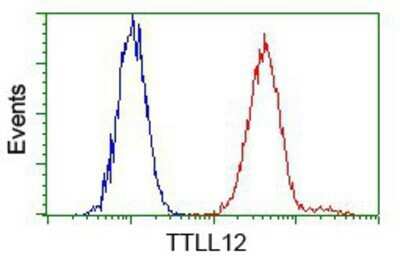 Flow Cytometry: TTLL12 Antibody (OTI7F11) - Azide and BSA Free [NBP2-74676]