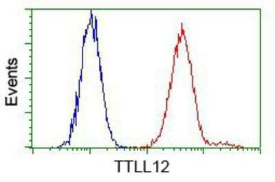 Flow Cytometry: TTLL12 Antibody (OTI7F11) [NBP2-02216]