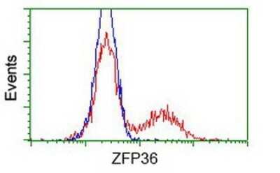 Flow Cytometry: TTP Antibody (OTI8B5) - Azide and BSA Free [NBP2-74681]