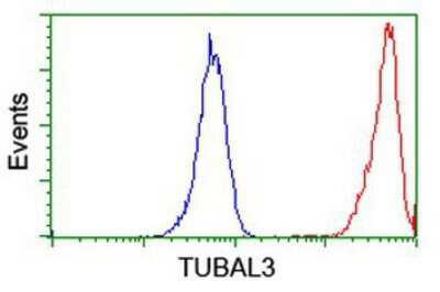 Flow Cytometry: TUBAL3 Antibody (OTI4C5) [NBP2-01476]
