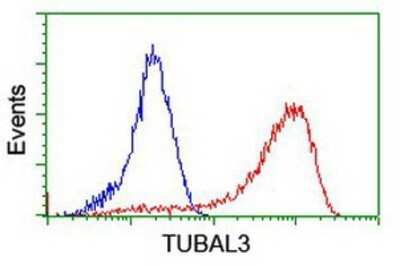 Flow Cytometry: TUBAL3 Antibody (OTI4C5) - Azide and BSA Free [NBP2-74696]