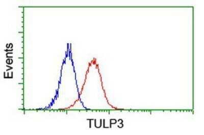 Flow Cytometry: TULP3 Antibody (OTI7B8) - Azide and BSA Free [NBP2-74721]