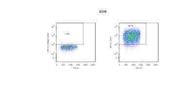 Flow Cytometry: TWEAK R/TNFRSF12 Antibody (ITEM-4) - BSA Free [NBP2-00409]