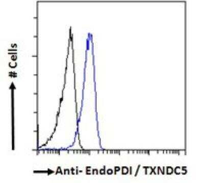 Flow Cytometry: TXNDC5 Antibody [NB100-1452]