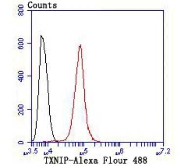 Flow Cytometry: TXNIP Antibody (JM60-35) [NBP2-75692]