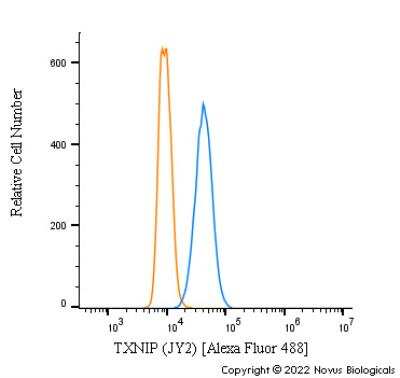 Flow Cytometry: TXNIP Antibody (JY2) - Azide and BSA Free [NBP1-54578]