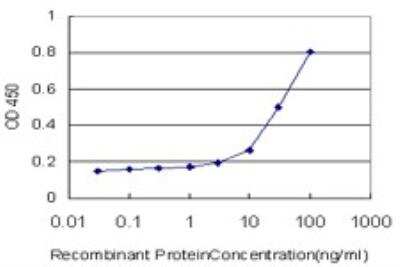 ELISA: Tafazzin/TAZ Antibody (3C10) [H00006901-M19]