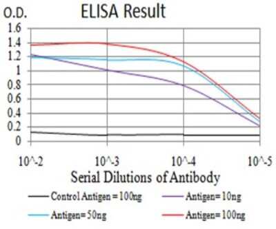 ELISA: TdT Antibody (4B10C3) - BSA Free [NBP2-61898]
