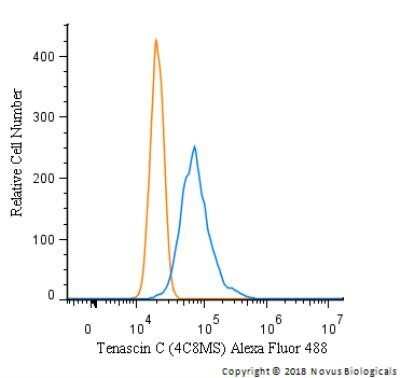 Flow Cytometry: Tenascin C Antibody (4C8MS) - Azide and BSA Free [NBP2-80973]