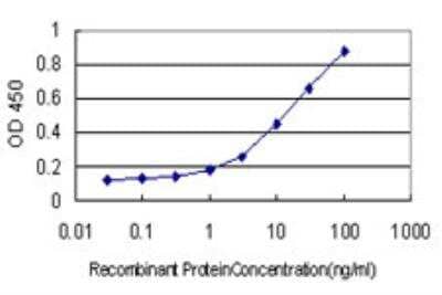 ELISA: Teneurin-1 Antibody (3G8) [H00010178-M01]