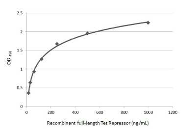 ELISA: TetR Antibody [NBP3-13057]