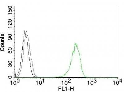 Flow Cytometry: TfR (Transferrin R) Antibody (66IG10) - Azide and BSA Free [NBP2-34542]