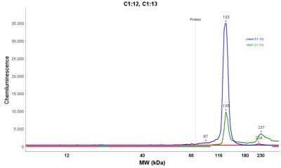 Simple Western: TfR (Transferrin R) Antibody (DF1513)Azide and BSA Free [NBP2-34602]