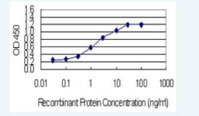 ELISA: Th-POK Antibody (1D4) [H00051043-M03-100ug]