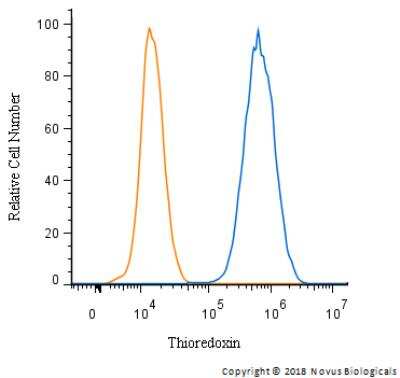 Flow Cytometry: Thioredoxin-1 Antibody - BSA Free [NBP2-52983]