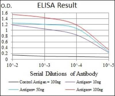 ELISA: Thrombopoietin R/Tpo R Antibody (1H2) - BSA Free [NBP2-37529]