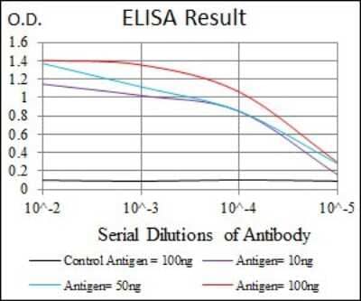 ELISA: Thrombopoietin/THPO Antibody (1B11) - BSA Free [NBP2-37498]