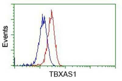 Flow Cytometry: Thromboxane synthase Antibody (OTI2C1) - Azide and BSA Free [NBP2-74505]