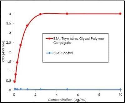 ELISA: Thymidine glycol Antibody (B29) [NBP3-11041]