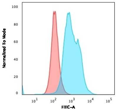Flow Cytometry: Thymidylate Synthase Antibody (TYMS/1884) [NBP3-07144]