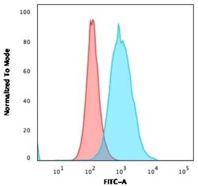 Flow Cytometry: Thymidylate Synthase Antibody (rTYMS/1884) [NBP3-07145]