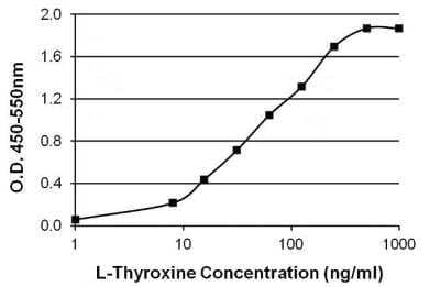 ELISA: Thyroxine Antibody (T4YCH) [NBP1-78604]