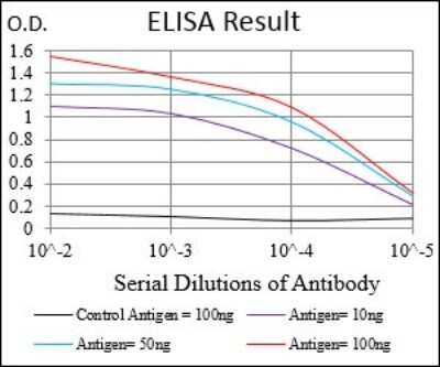 ELISA: Tie-1 Antibody (8D12B10) - BSA Free [NBP2-37270]