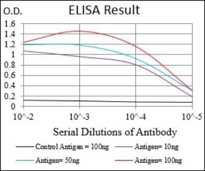 ELISA: Tie-1 Antibody (8D12D2) - BSA Free [NBP2-37267]