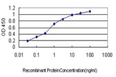 ELISA: Titin Antibody (2B3) [H00007273-M02]