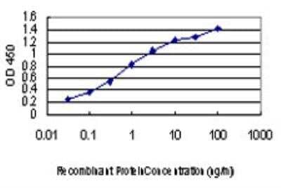 ELISA: Titin Antibody (7D3) [H00007273-M06]
