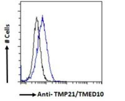 Flow Cytometry: Tmp21/p23 Antibody [NBP2-75965]