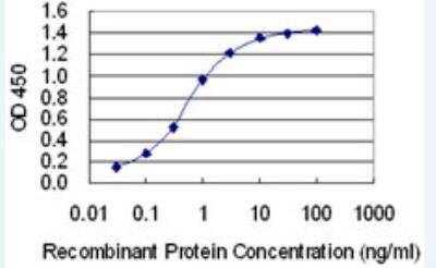 ELISA: TopBP1 Antibody (6D12) [H00011073-M04-100ug]