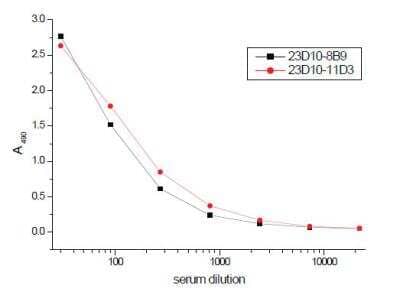 Immunoassay: Transferrin Antibody (8B9) [NB110-7904]