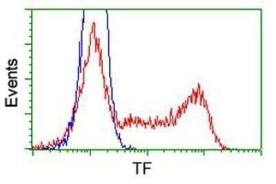 Flow Cytometry: Transferrin Antibody (OTI5G2) [NBP2-02264]