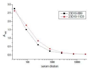 ELISA: TfR (Transferrin R) Antibody (23D10) [NB110-8468]