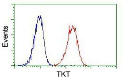 Flow Cytometry: Transketolase Antibody (OTI5H3) [NBP2-02292]