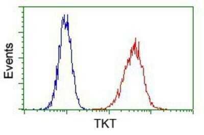 Flow Cytometry: Transketolase Antibody (OTI5H3) - Azide and BSA Free [NBP2-74585]