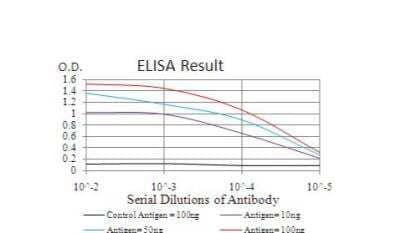 ELISA: Transthyretin/Prealbumin Antibody (6F11B2) - BSA Free [NBP2-52576]