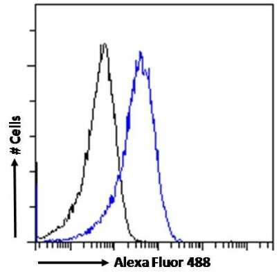 Flow Cytometry: Triosephosphate isomerase Antibody [NB300-994]