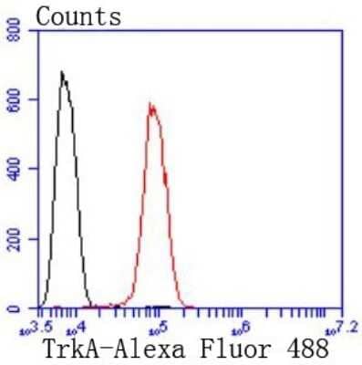 Flow Cytometry: TrkA Antibody (JJ084-04) [NBP2-67473]