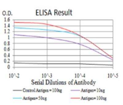 ELISA: TrkB Antibody (10B6C4) - BSA Free [NBP2-52524]