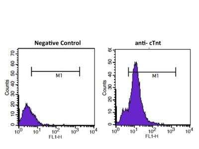 Flow Cytometry: Troponin I Type 3 (cardiac) Antibody (19C7cc) [NB110-2546]