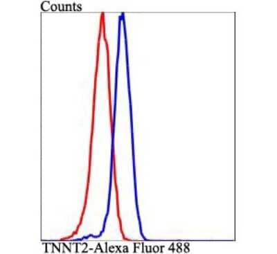 Flow Cytometry: Troponin T Type 2 (cardiac) Antibody (5-C7) [NBP2-67211]