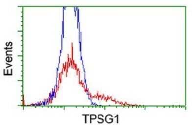 Flow Cytometry: Tryptase gamma-1/TPSG1 Antibody (OTI1E11) - Azide and BSA Free [NBP2-74649]