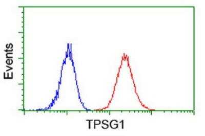 Flow Cytometry: Tryptase gamma-1/TPSG1 Antibody (OTI1G1) - Azide and BSA Free [NBP2-74652]