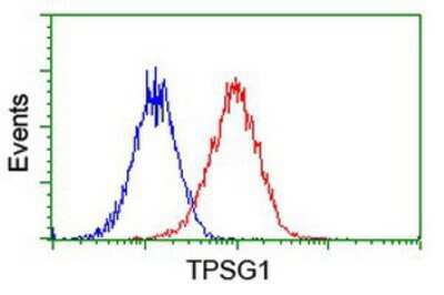 Flow Cytometry: Tryptase gamma-1/TPSG1 Antibody (OTI1G1) [NBP2-01679]