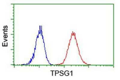 Flow Cytometry: Tryptase gamma-1/TPSG1 Antibody (OTI1G1) [NBP2-01679]
